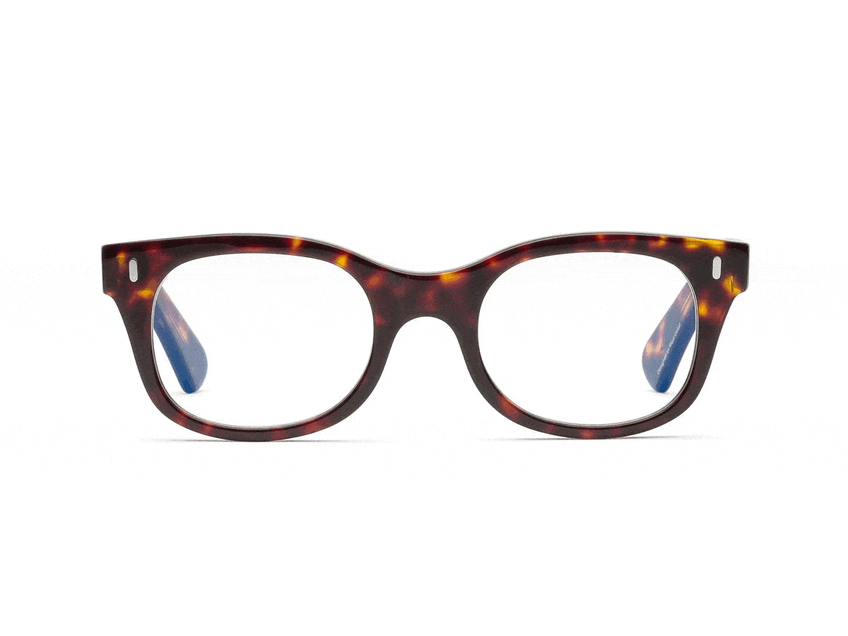 Bixby Custom Light Responsive Reading Glasses Caddis