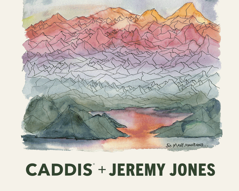 Jeremy jones collaboration Root Cause Analysis eyeglasses in color Tree Frog