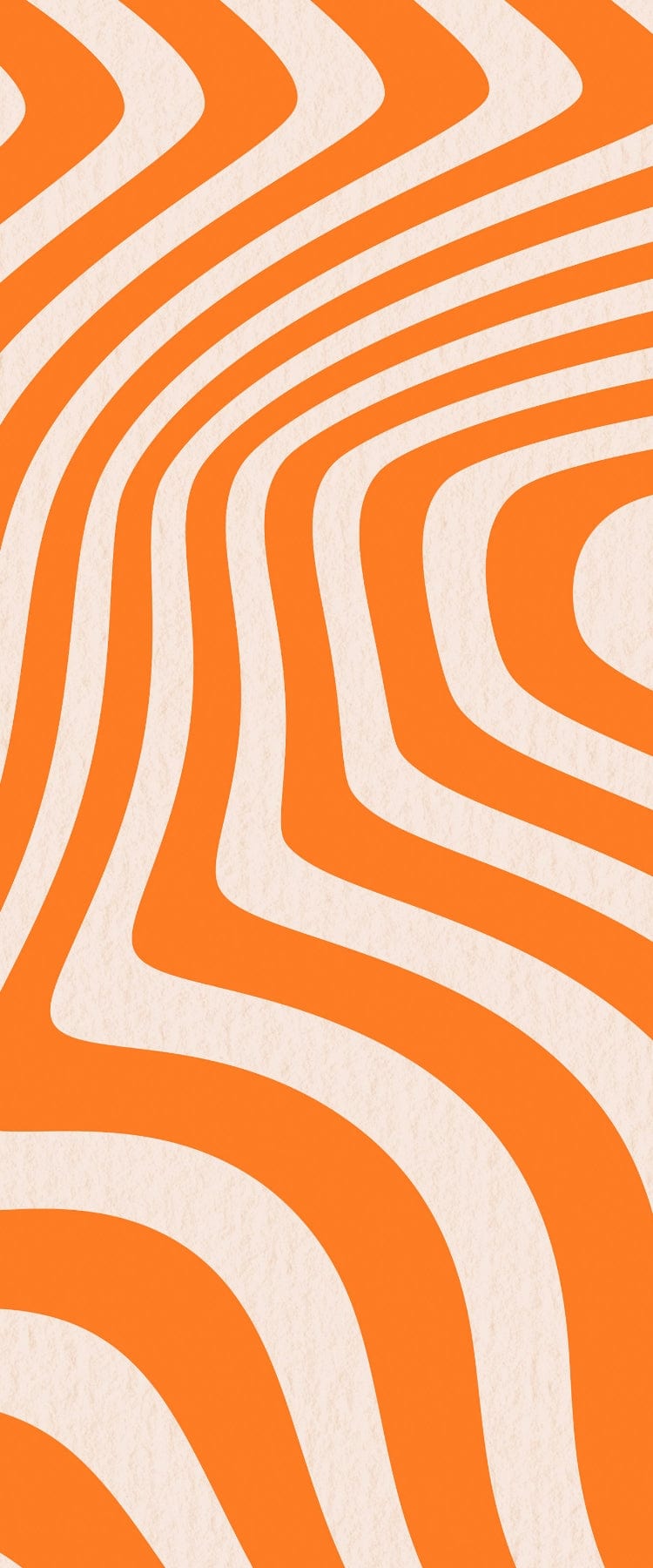 Wabi Sabi Sunglass Readers - Texas Tea Black | Caddis – Caddis