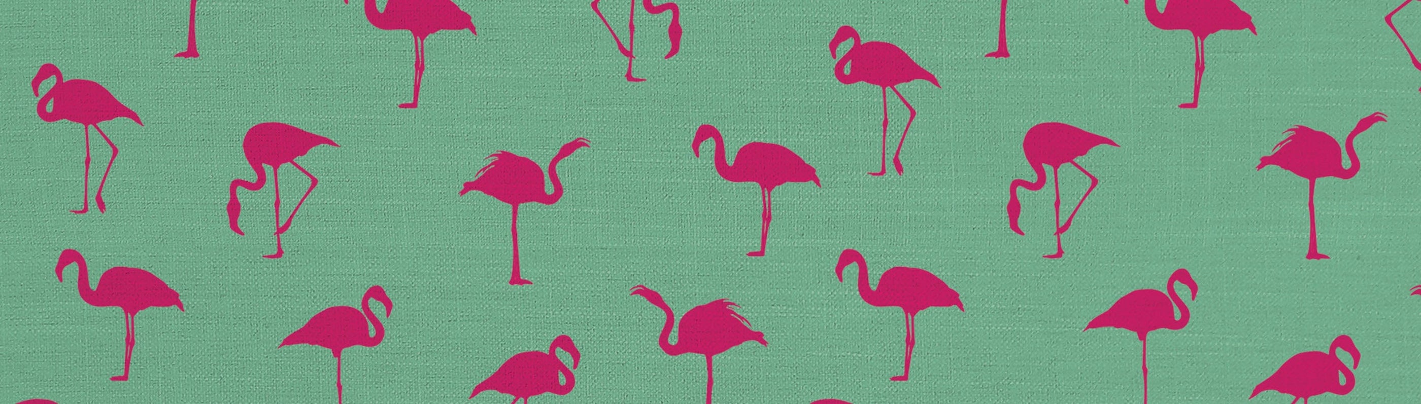 Soup Cans Reading Glasses CADDIS Readers Caddis